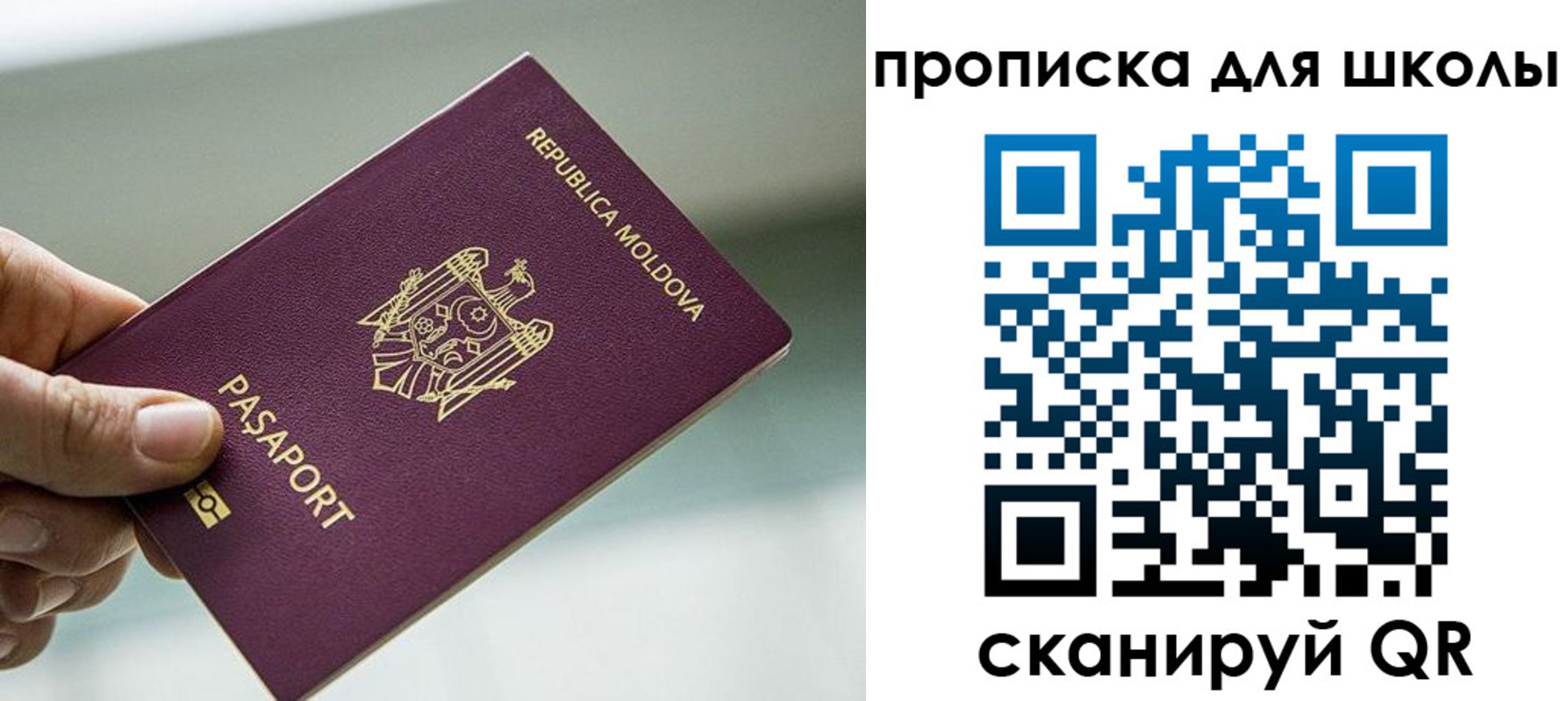 прописка в квартире в Коврове